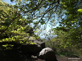 qua Rocca15-05-2022 10-05-22